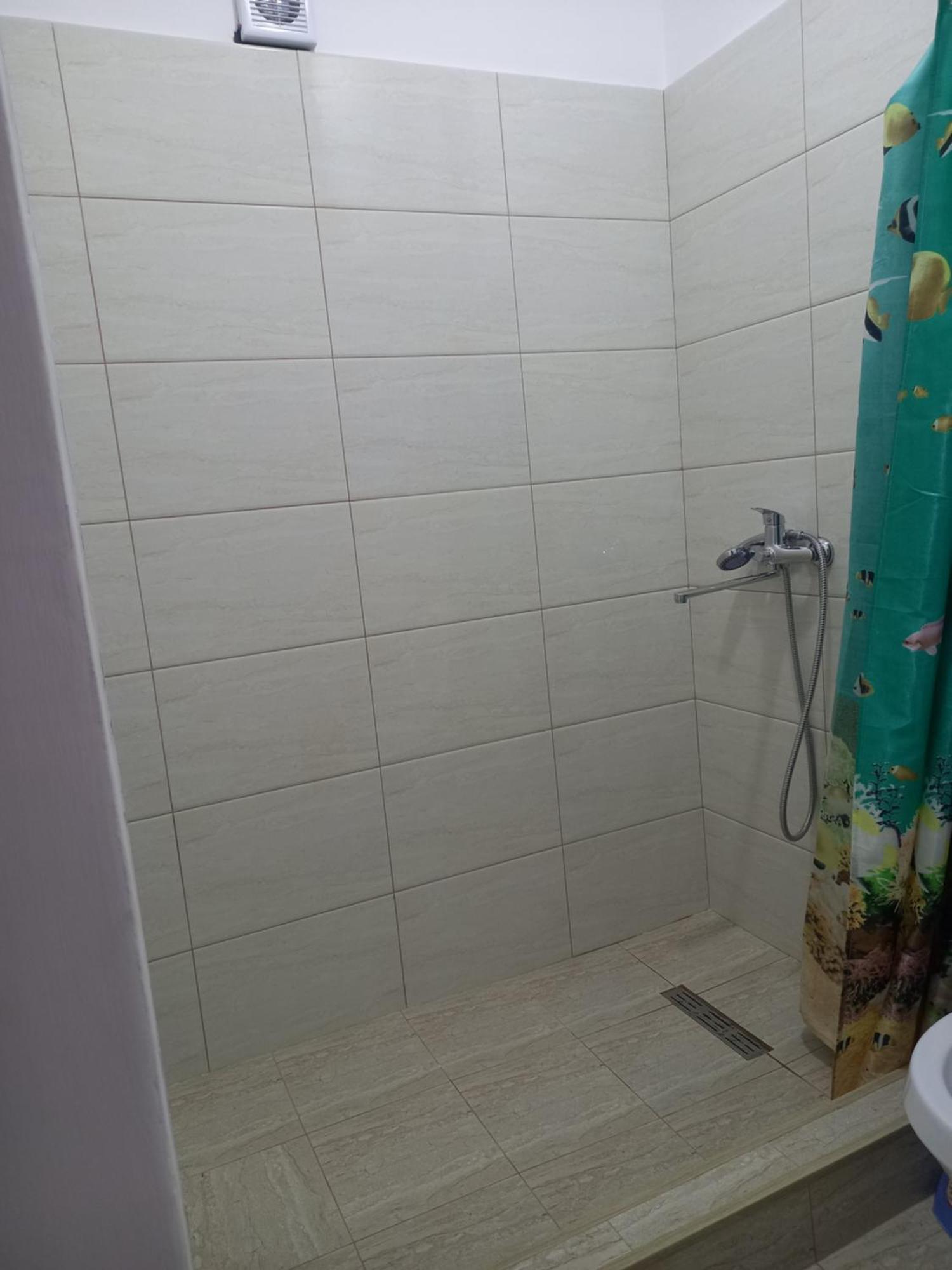 Lion Guest House Bukhara Rom bilde